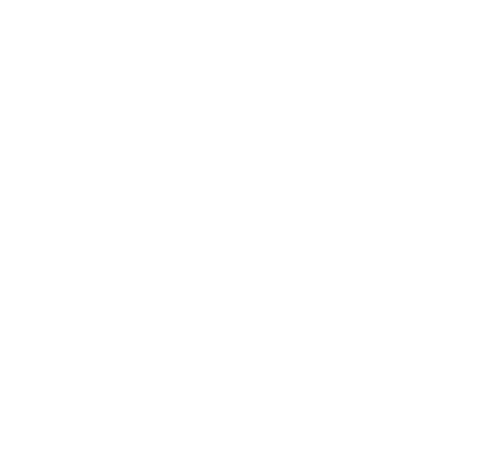 MarrowVeil Studios